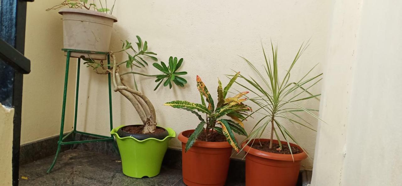 Gopi Homestay Hampi Luaran gambar