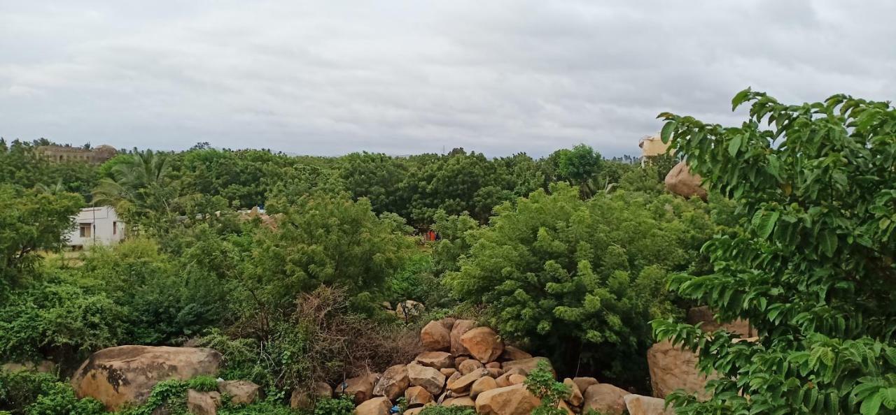 Gopi Homestay Hampi Luaran gambar
